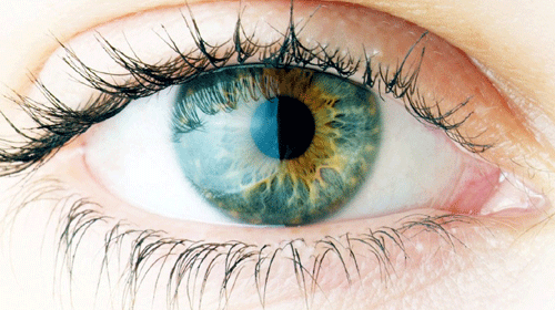 Olhos ajudam a diagnosticar doenças
